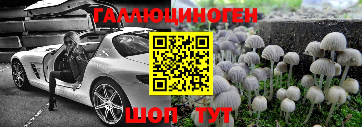 Белая Калитва  Псилоцибиновые грибы MAGIC MUSHROOMS  Вход с VPN 